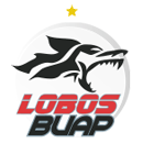 Lobos BUAP (D)